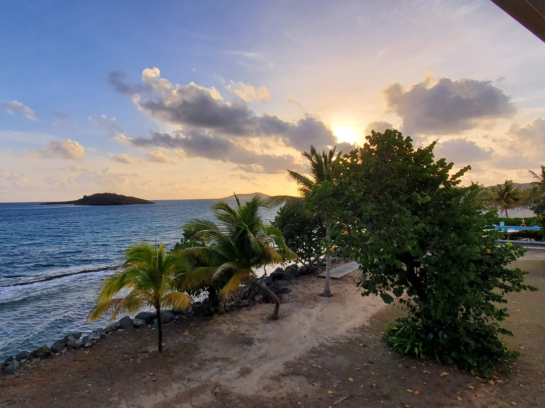 Tamarind Reef Resort主图