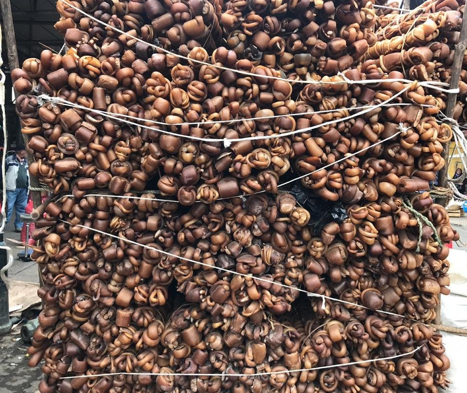 Feria Pinto-特木科必去景点