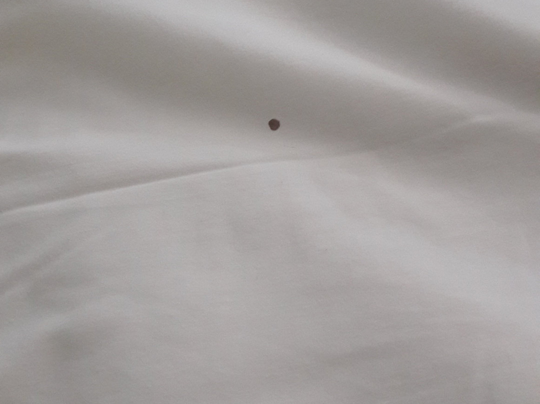 Hotel Diego de Almagro Copiapo主图