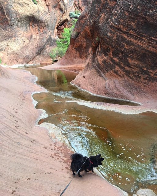 Red Reef Trail-Leeds必去景点