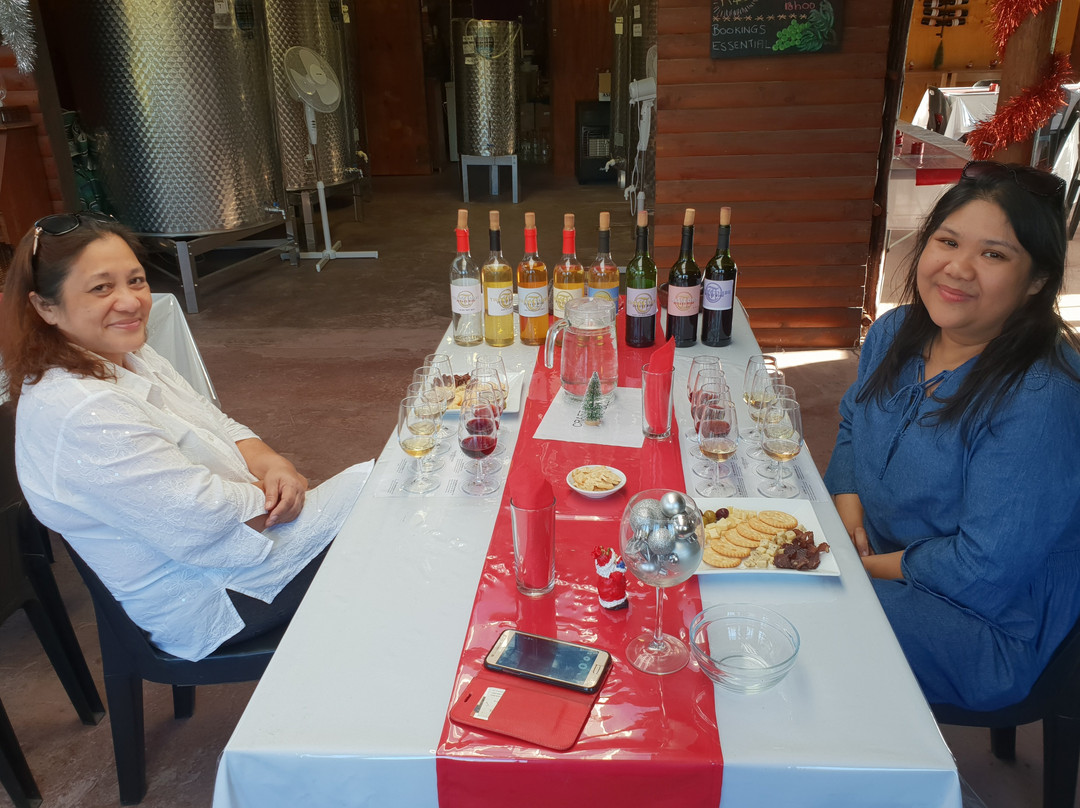 Theescombe Estate Wine Farm-伊丽莎白港必去景点