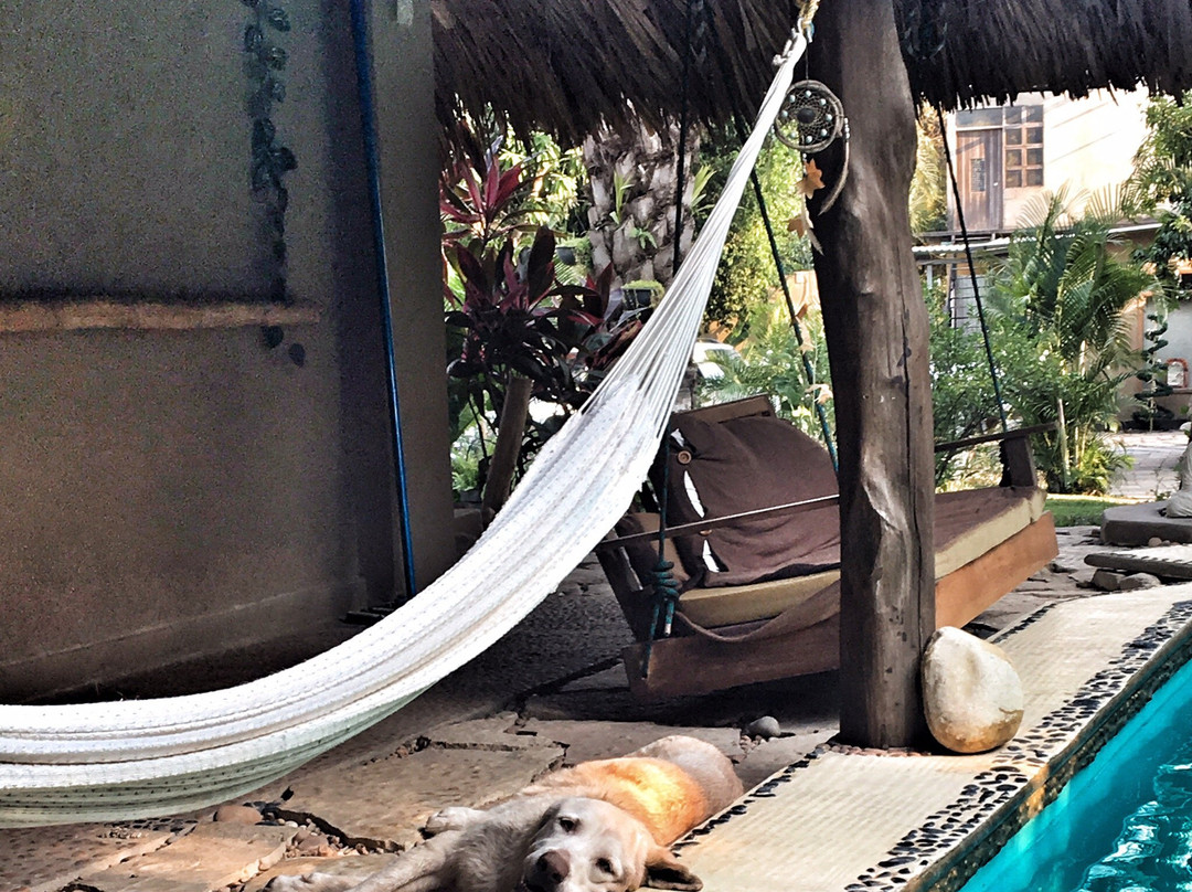 Hotel Villas Adriana主图