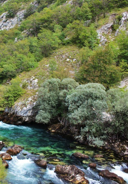 Pojila gorge景点图片