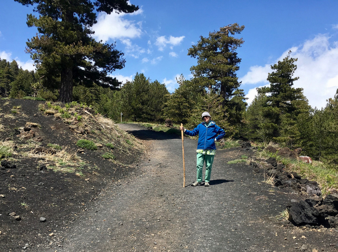 埃特纳火山景点图片