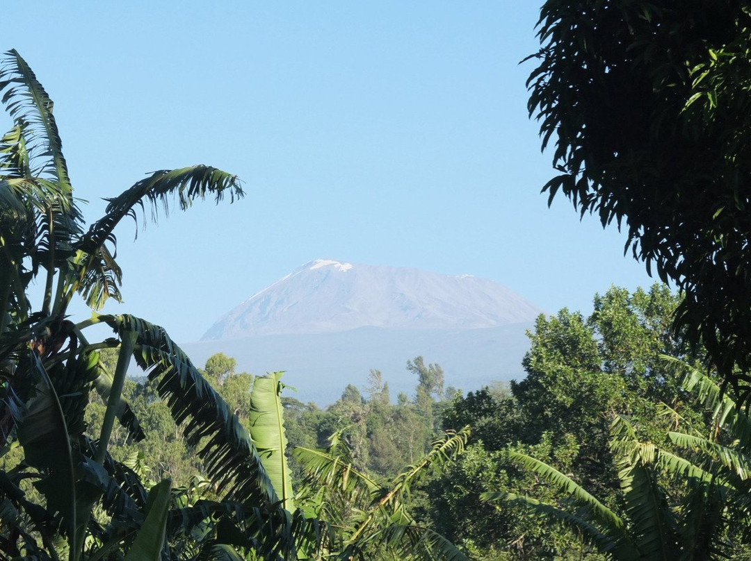 Kilimanjaro Friendship Trail景点图片