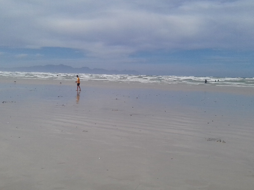 Muizenberg Catwalk-Muizenberg必去景点