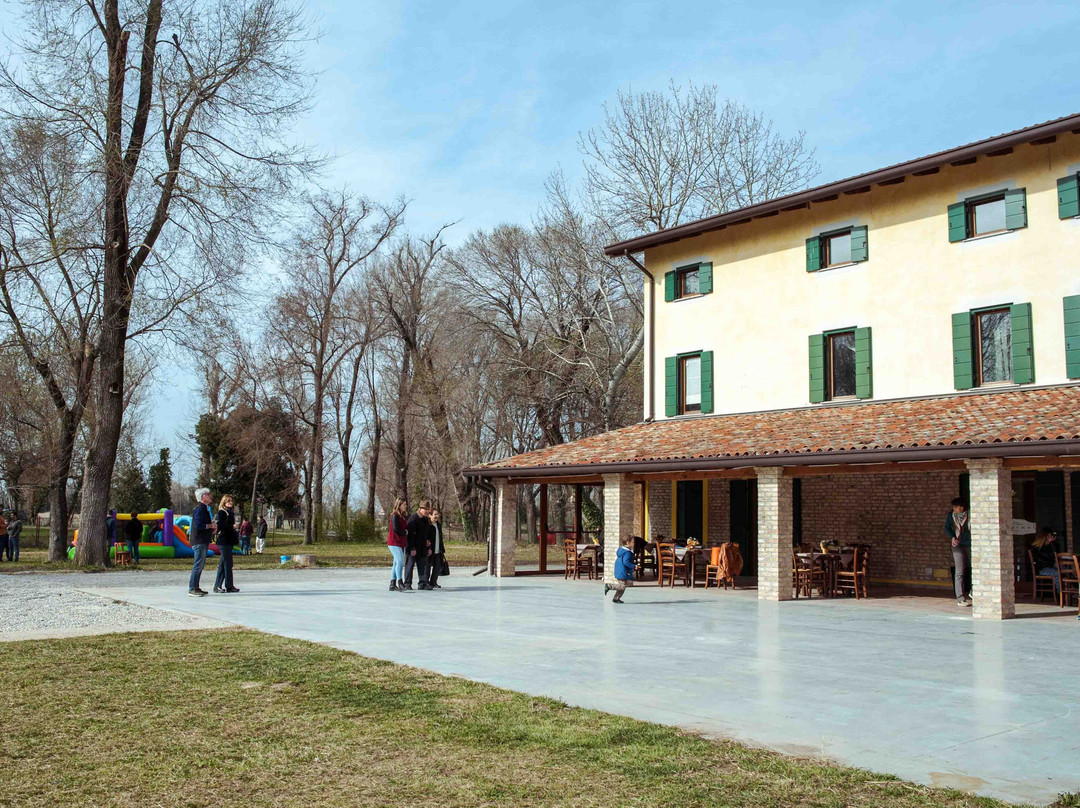 Riserva Alberoni