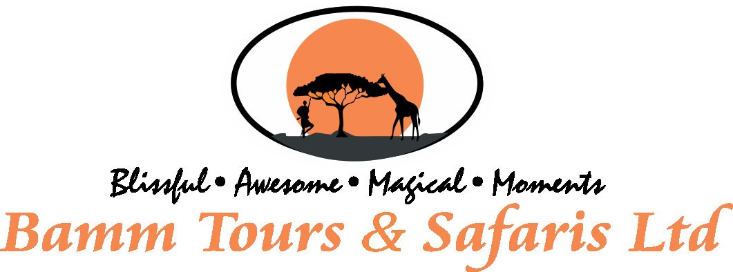 Bamm tours and safaris-内罗毕必去景点