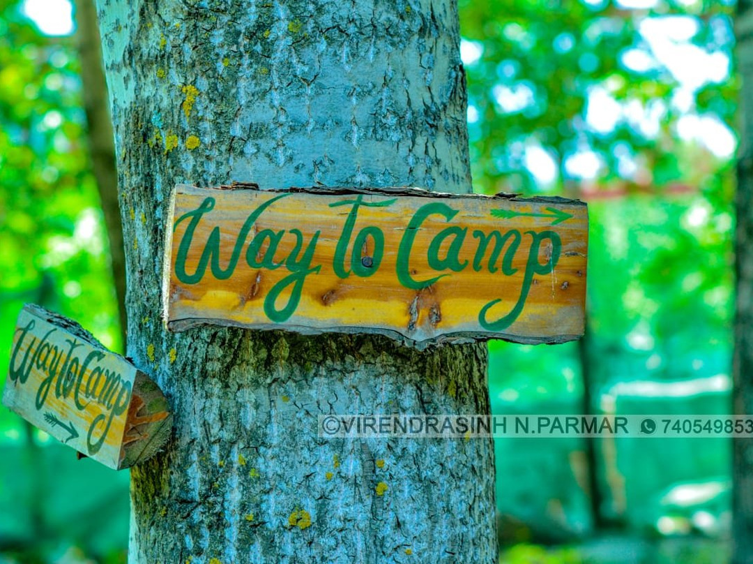 Camp Jungle Brooks景点图片