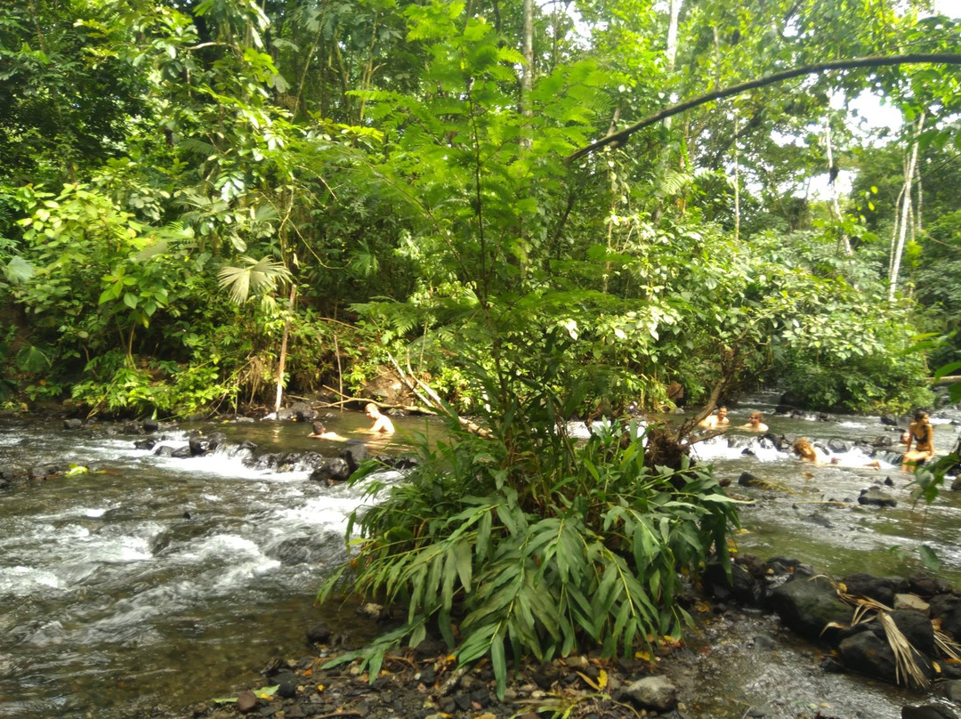 Roadrunner Transfers Costa Rica-塔马林多必去景点