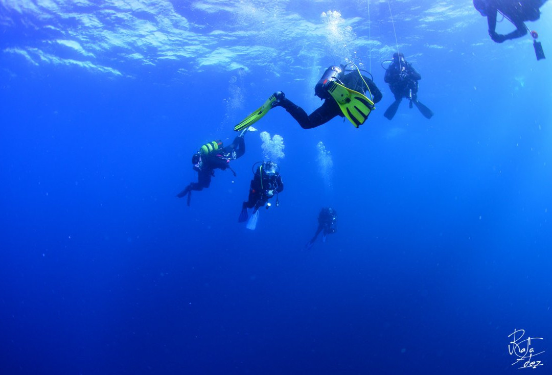 Centro de Buceo Burbujas景点图片