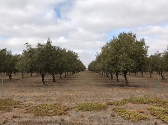 Talinga Grove Farm Store-Willyaroo必去景点