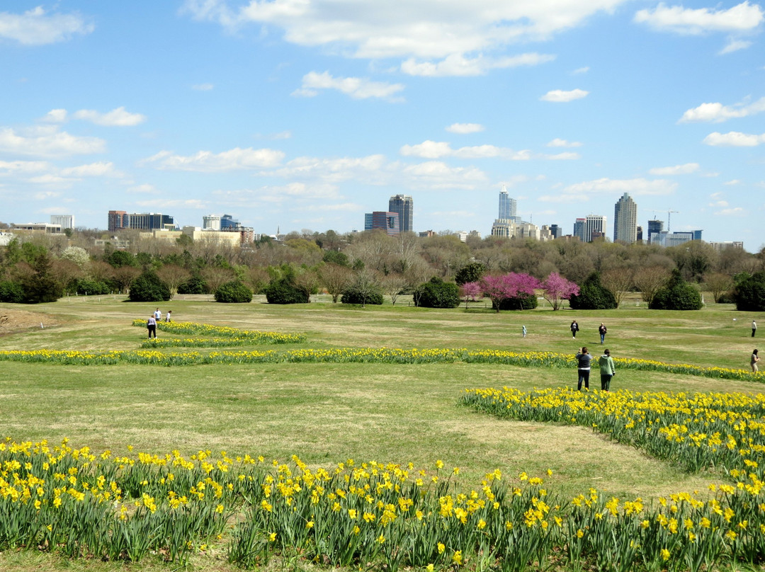 Dorothea Dix Park景点图片