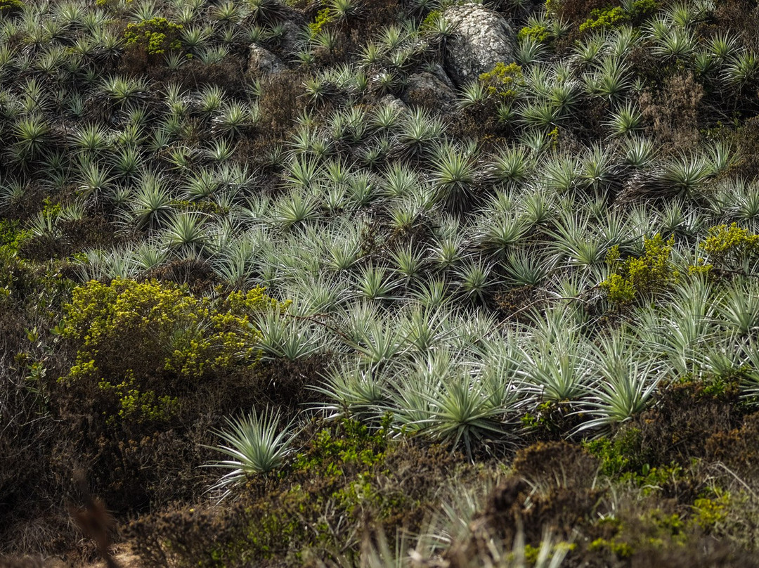 Salto El Puquen-Los Molles必去景点
