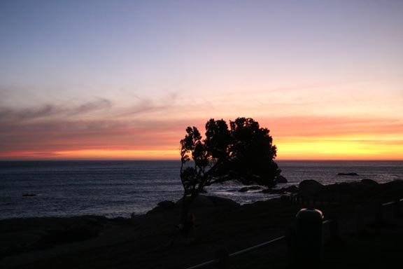 Maidens' Cove-开普敦中心区必去景点