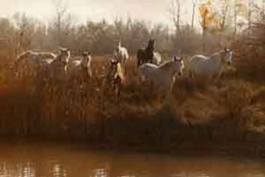 隆戈麦酒店主图