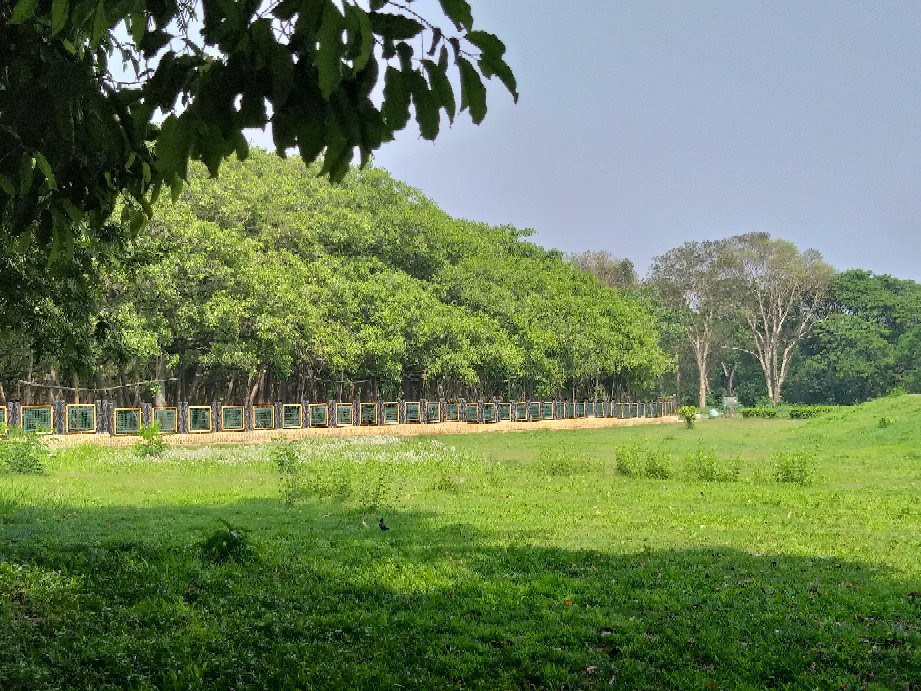 Acharya Jagadish Chandra Bose Indian Botanic Garden景点图片