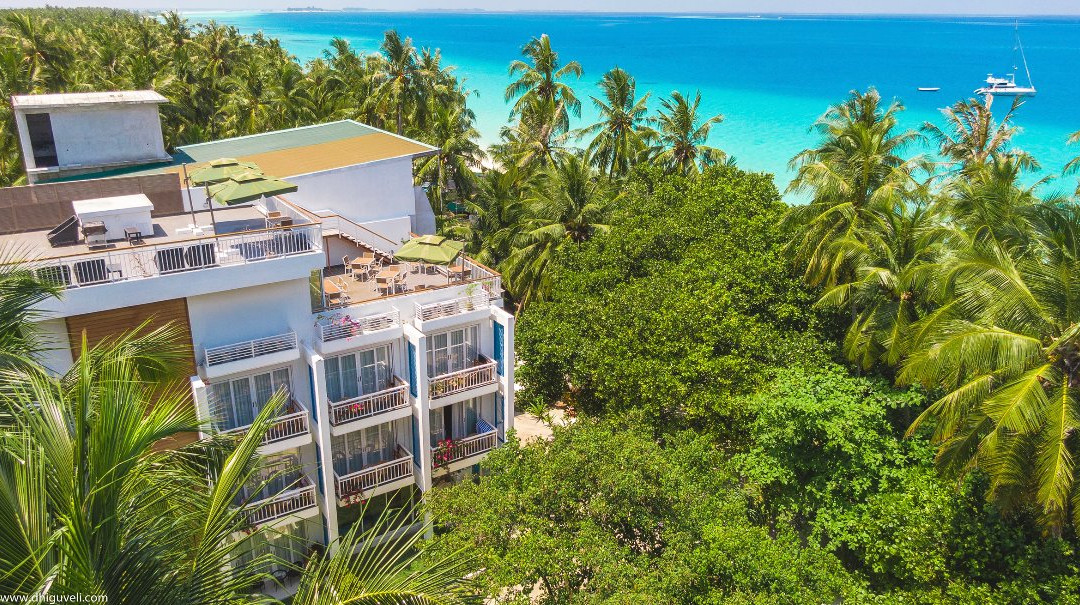 迪古拉赫岛酒店住宿-Dhiguveli Maldives