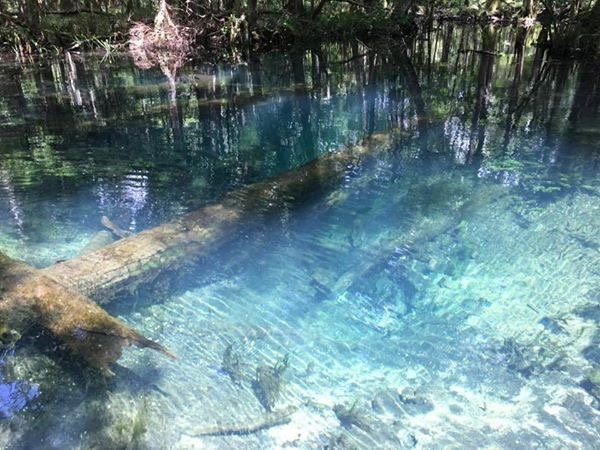 5 Rivers Adventures景点图片