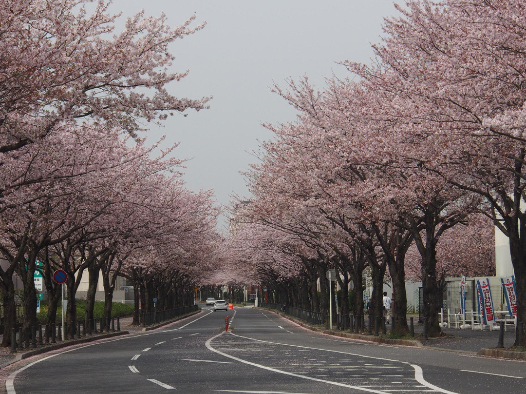 Narita Cycling Tour-白井市必去景点