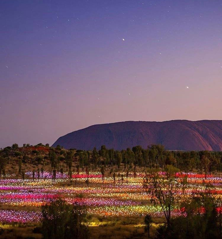 Field of Light-乌鲁鲁-卡塔丘塔国家公园必去景点