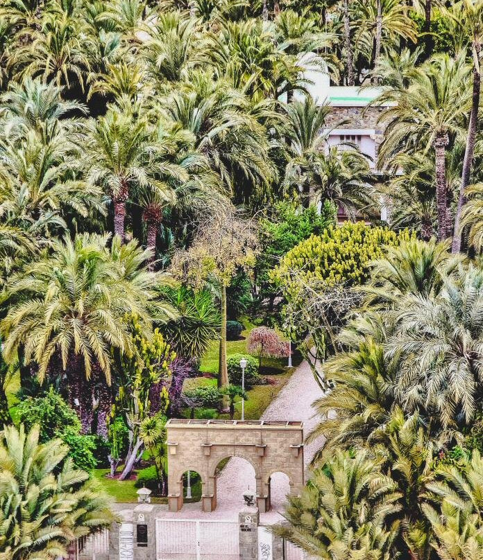 Palmeral of Elche景点图片