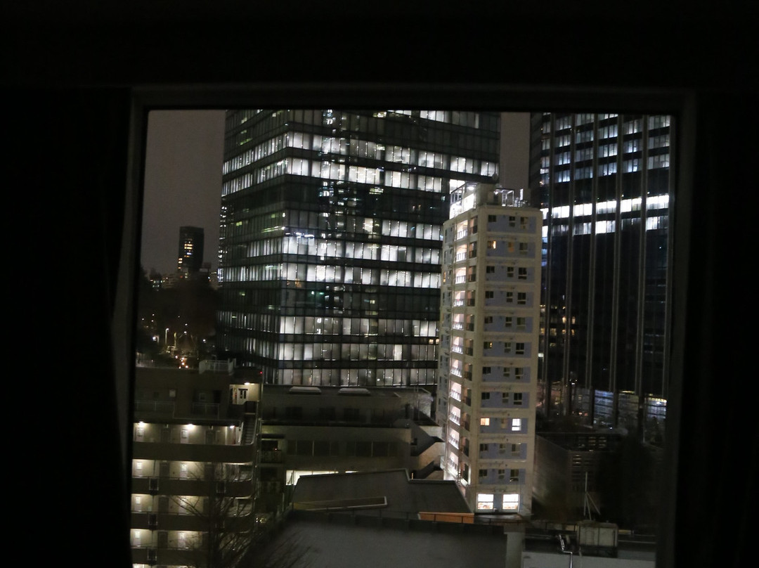 东京西新宿大和鲁内精选酒店主图