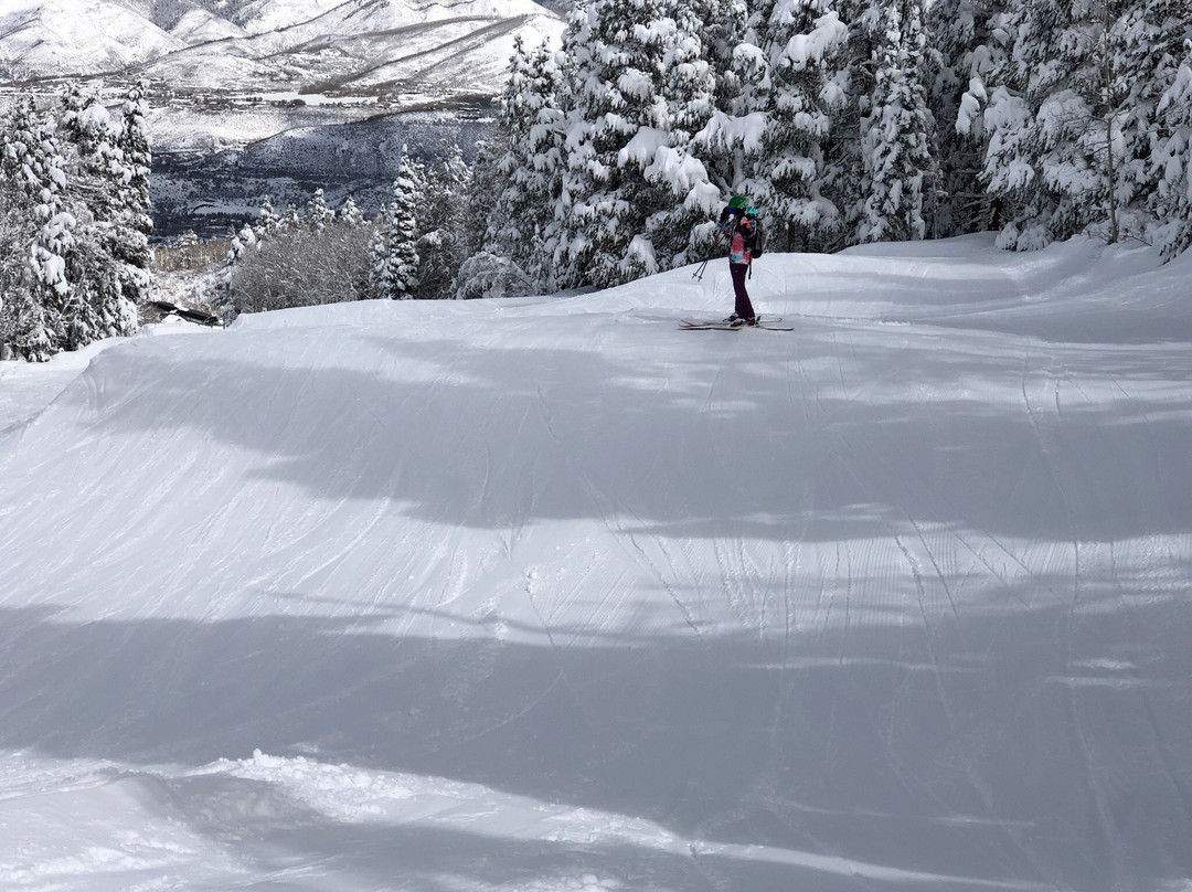 Bluegreen The Innsbruck Aspen