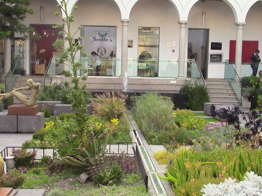 Plaza San Jacinto-墨西哥城必去景点