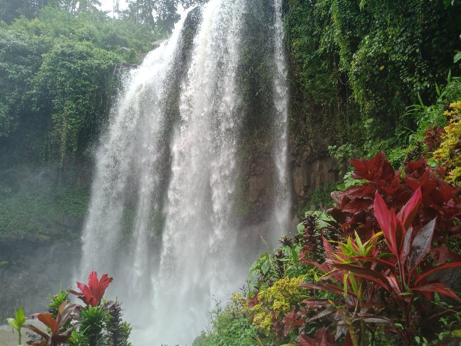 Srengenge Waterfall景点图片
