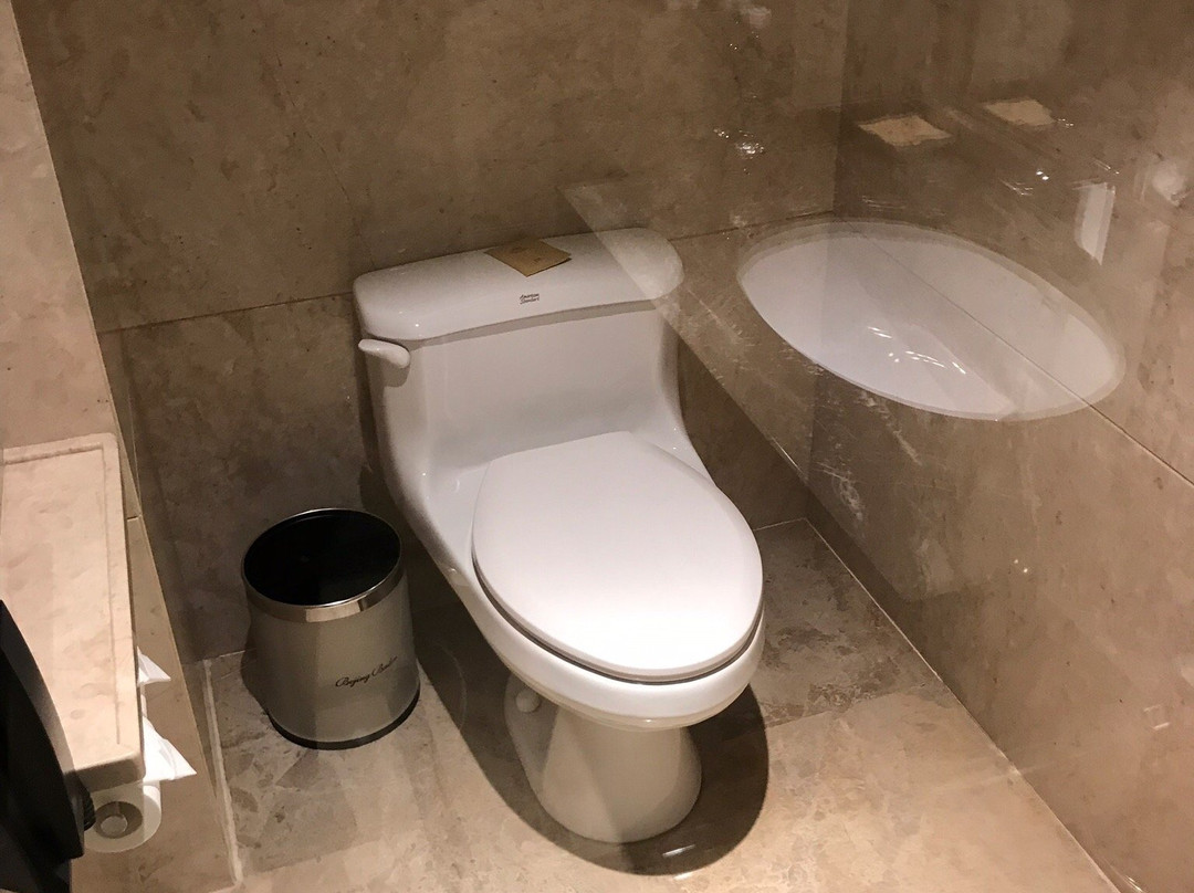 顺辉铂晶巴登酒店主图