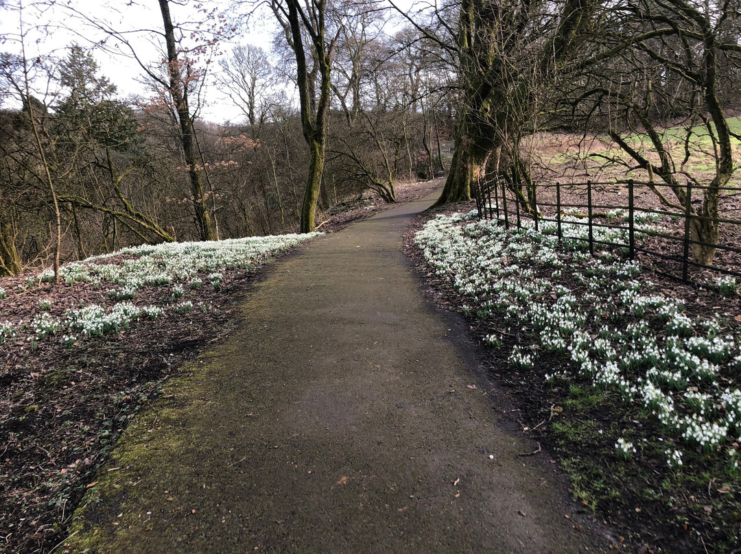 Cumbernauld House Park-坎伯诺尔德必去景点