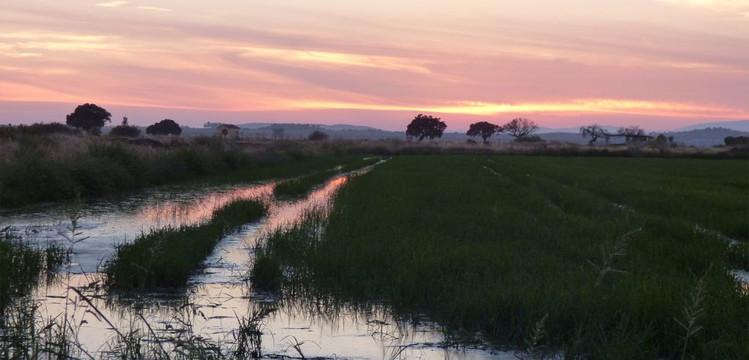 Galisteo旅游攻略图片