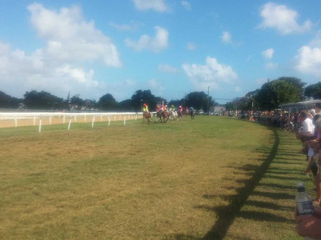 Barbados Turf Club-布里奇顿必去景点