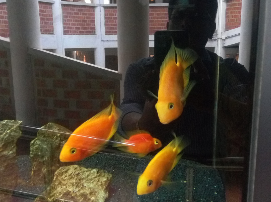 Varkala Aquarium-瓦卡拉必去景点