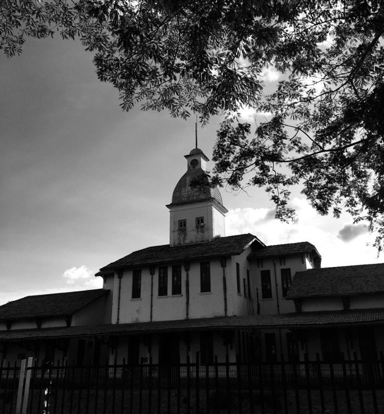 Parque Estação da Cidadania景点图片
