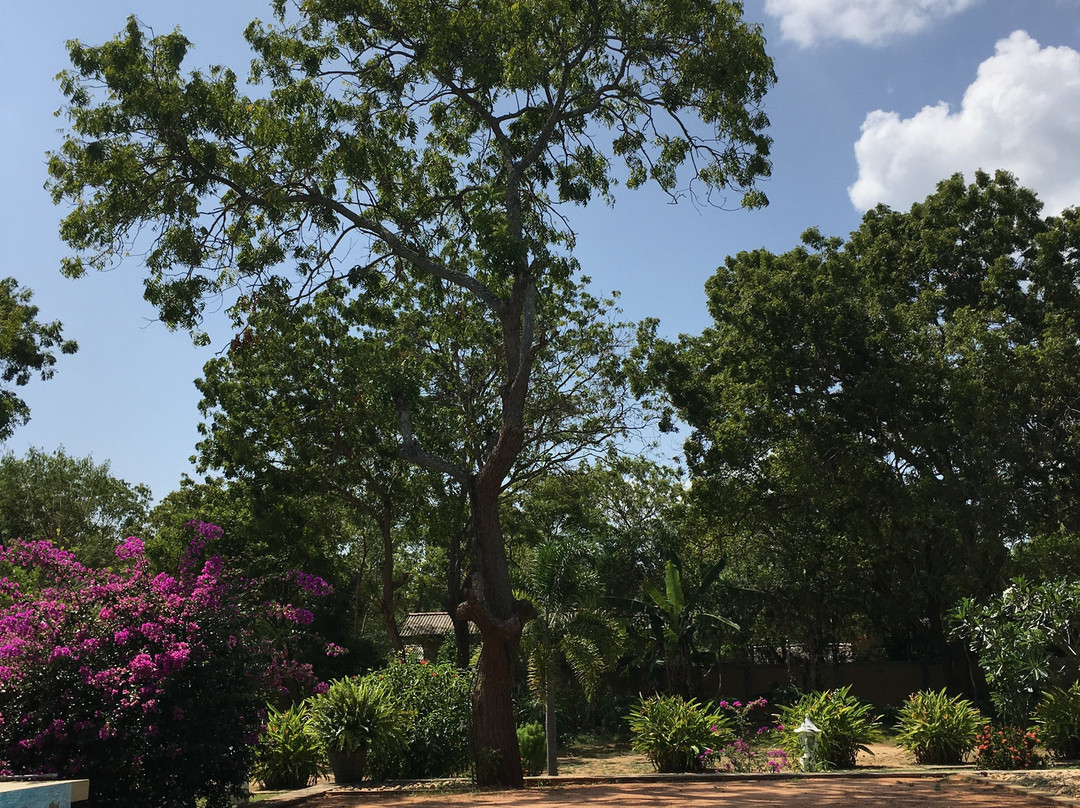 Shangri-Lanka Village主图