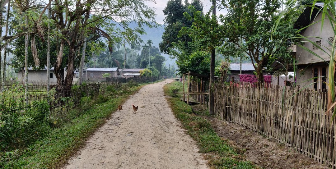 Landmark Woods主图