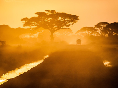 Kim'zebra Adventures and Safaris Limited-阿鲁沙必去景点