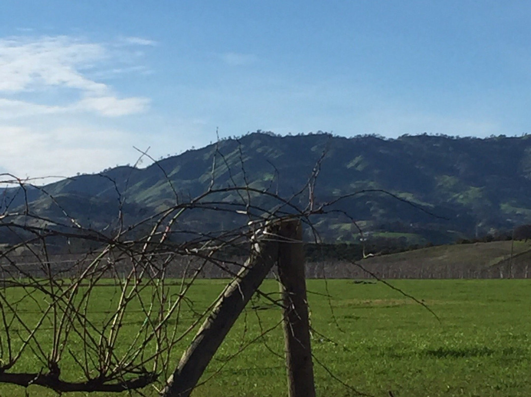 Berryessa Brewing Company-Winters必去景点