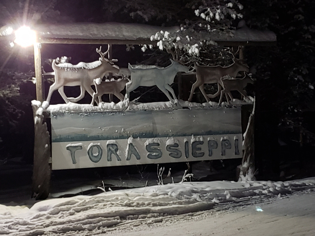 Torassieppi Reindeer Farm & Cottages景点图片