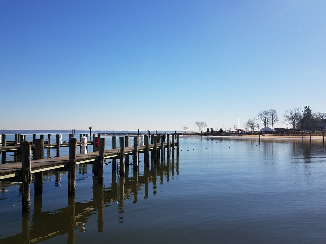 Annapolis Maritime Museum & Park景点图片