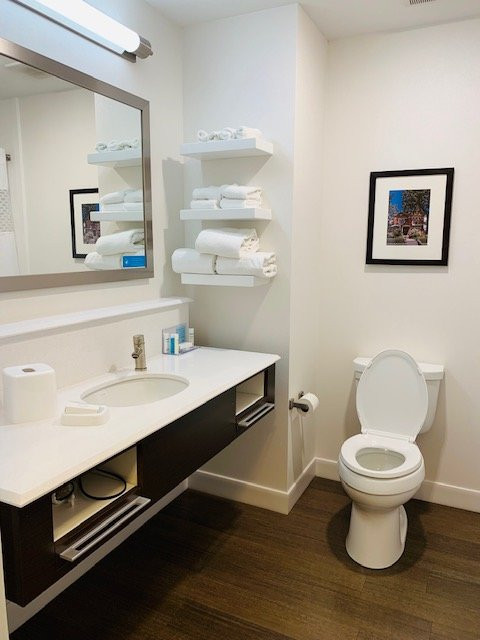 Hampton Inn & Suites St. Paul Downtown主图