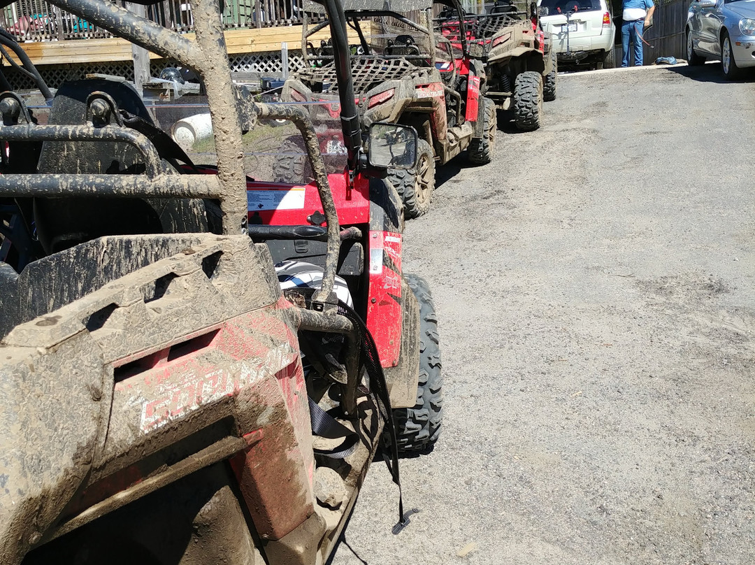 Tour Muskoka-Mactier必去景点