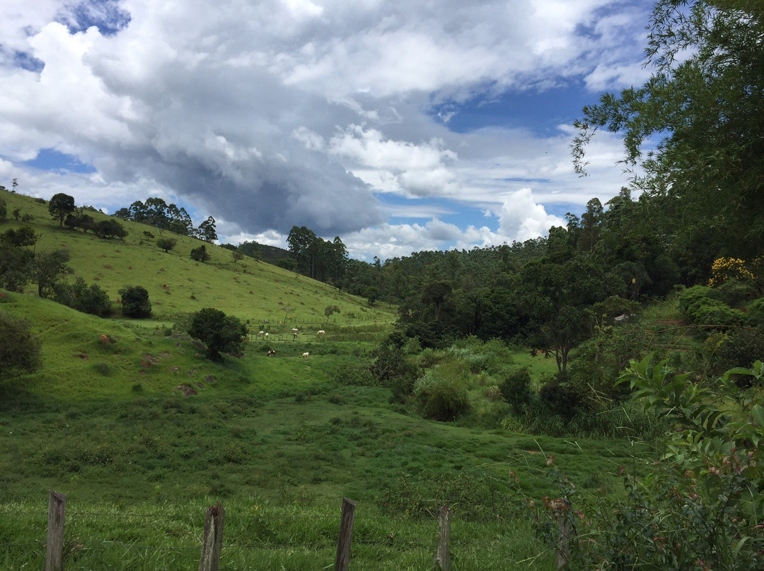 Fazenda Sao Luiz主图