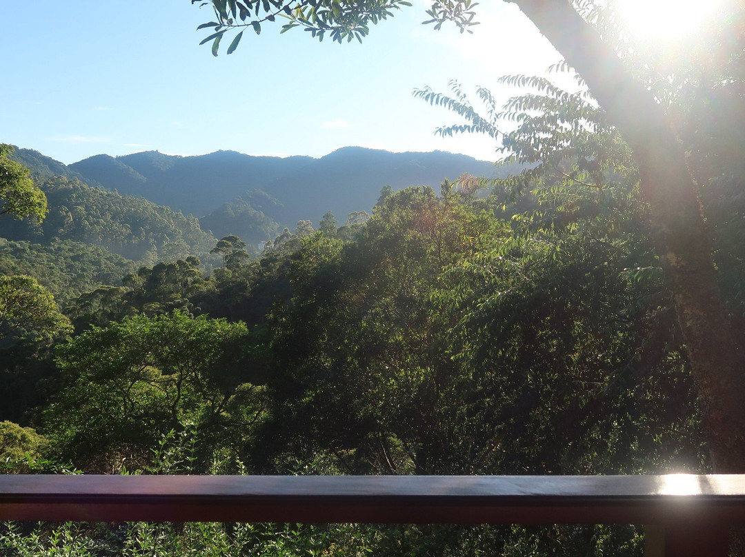 Pousada Do Cedro主图