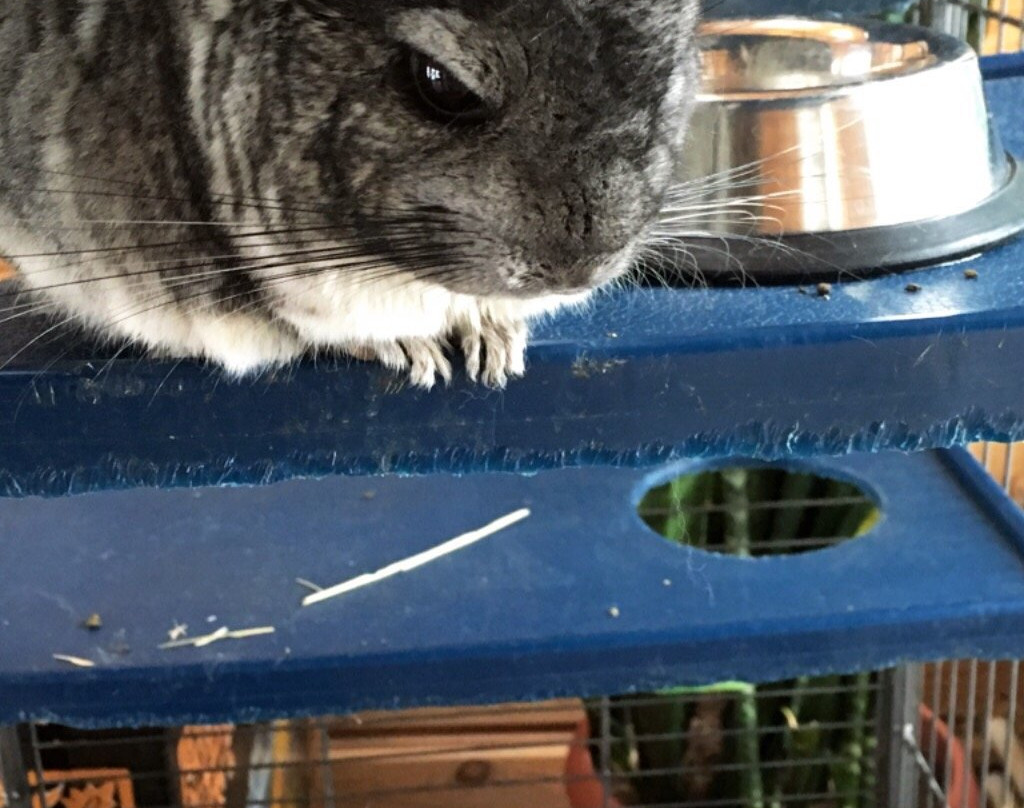 Bogdarnya Agricultural Touristic Complex-Krutovo必去景点