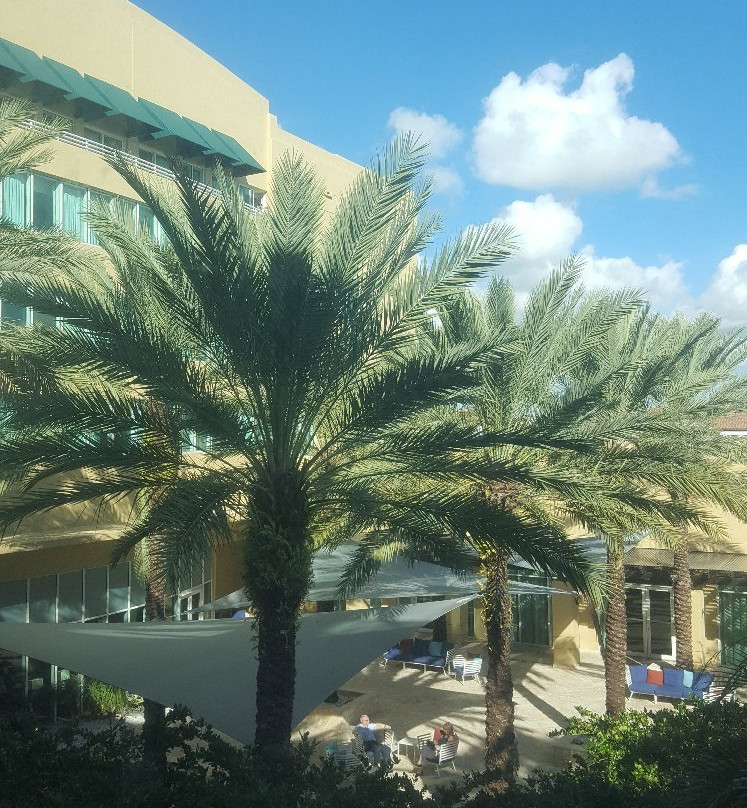 Intercontinental At Doral Miami By IHG主图