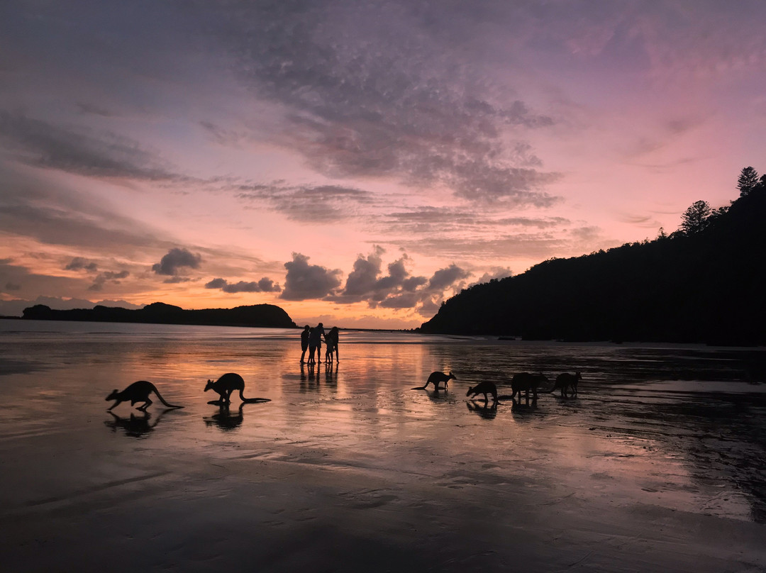 Cape Hillsborough Nature Tourist Park主图