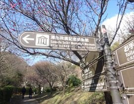 Seiko Sawada Memorial Museum-热海市必去景点